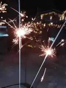Аквафорест - 41