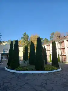 Красный Бор - 22