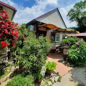 Усадьба Пантелея - 50