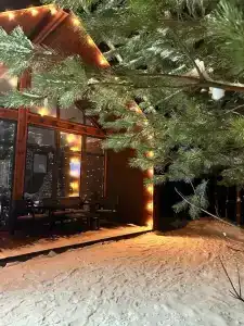 Forest camp - 22