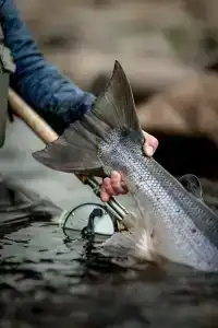 Олёнка лодж - 84