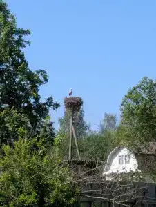 Верста - 8