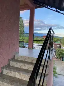 Фламинго - 3