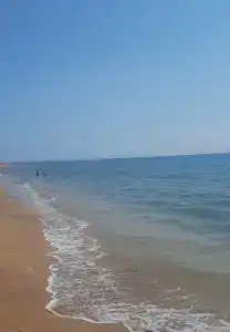 Место Встречи - 86