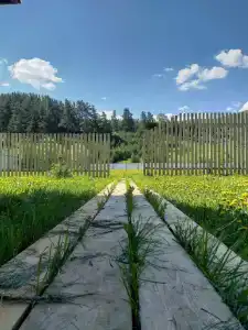 Пилигрим - 2