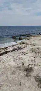 Фиолентовский - 7