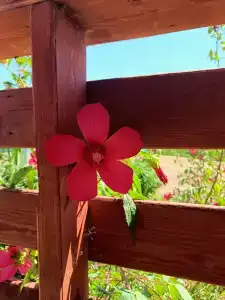 Кемпинг Порфмий - 25