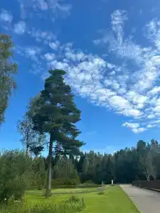 Покровские Ворота - 38