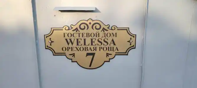 Welessa - 8