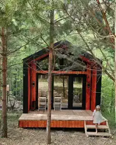 Сосны. Пространствие - 33