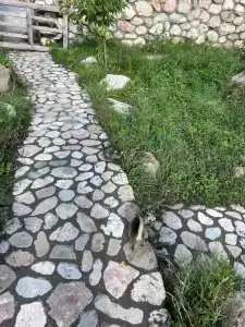 Гнездо Солнца - 25