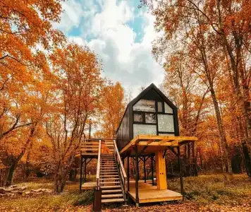 Вазуза Лав - 2