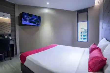 81 Orchid - SG Clean - 34