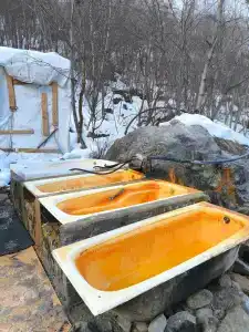 Майли - 15