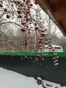 4 Сезона - Нефтяник - 75