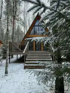 Лесная сказка - 65