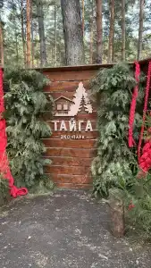 Тайга - 46