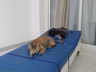 Bel Air Azur Resort (Adults Only) - 46