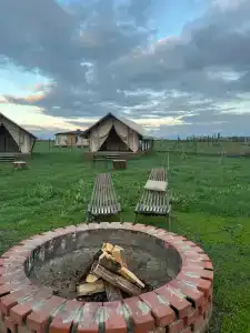 В деревушке на опушке - 11