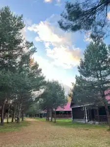 Сокол - 0