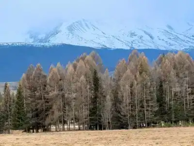 Сила гор - 12