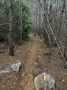 İstanbul Beach - 57