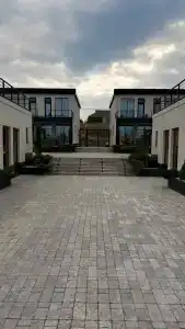 Павлония - 14