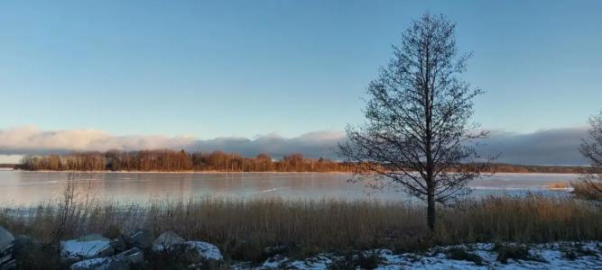 Чайкина дача - 66