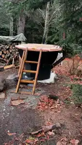 Счастливый лось - 20