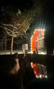 Сосны. Пространствие - 9