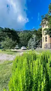 Вилла Мария - 49