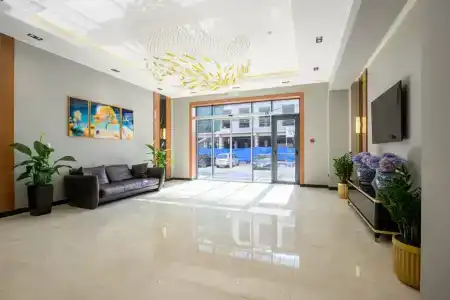 Consti - 5