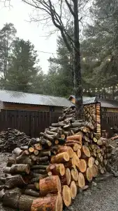 Seasons - 30