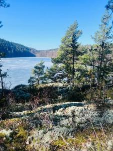 Карельские Лага - 72