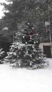 Отдых Волго - 30