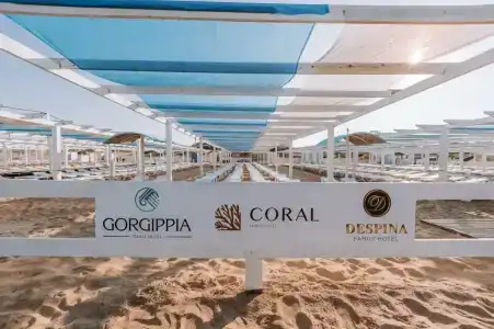 Горгиппия - 12