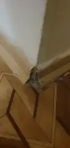 Аэроотель - 50