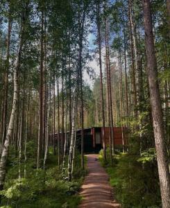 Пасторское озеро - 51