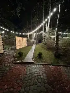 Магия леса - 49