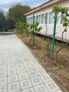 Заманиха - 30