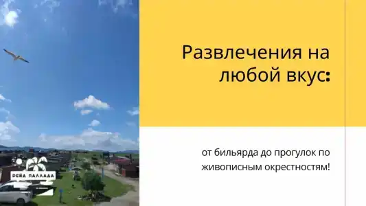 Рейд Паллада - 4