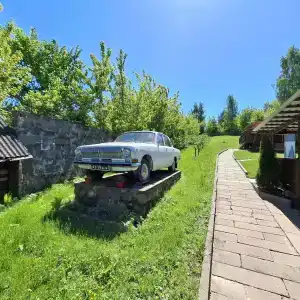 Товарищ - 0