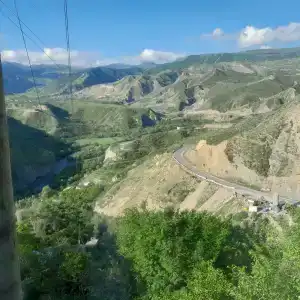 Пение птиц - 96