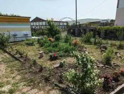 Радомира - 3