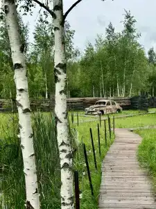 В Поле - 6