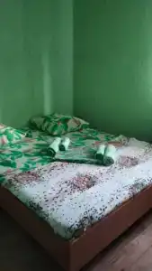 Магнолия - 31