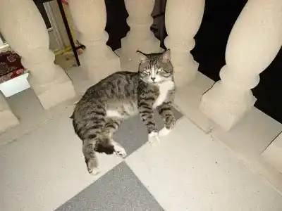 Красный бак - 11