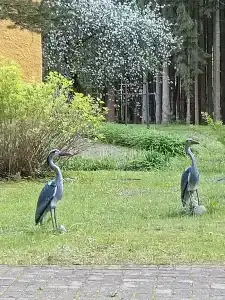 Кристалл - 33