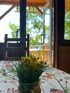 Лада Holiday - 60