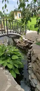 Загородное - 99